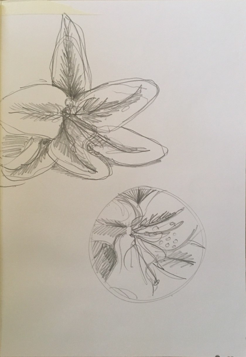 2019-09-25 12-08 page 2