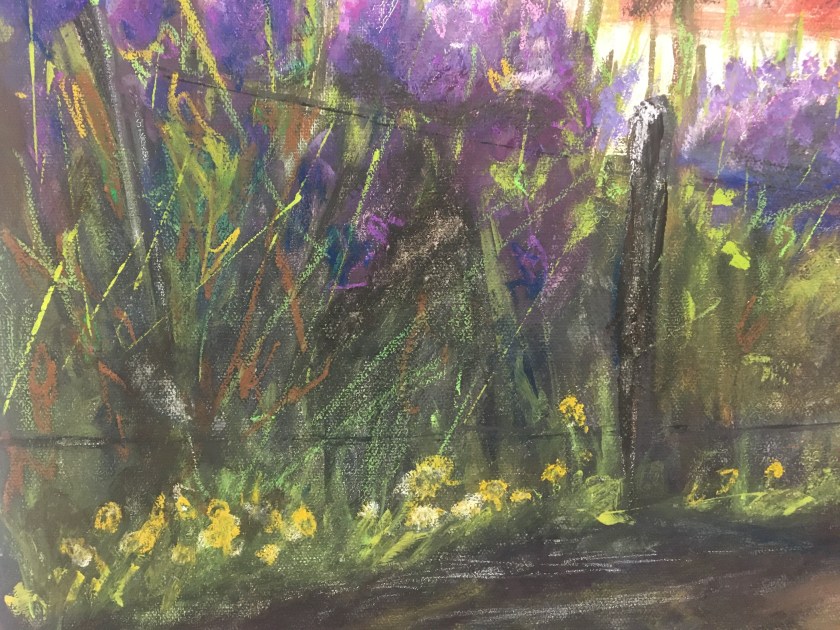 E72EA821-1678-40EA-AB91-CC958E0ABDF2